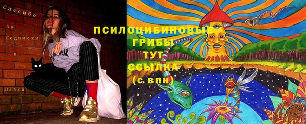 круглые Арсеньев