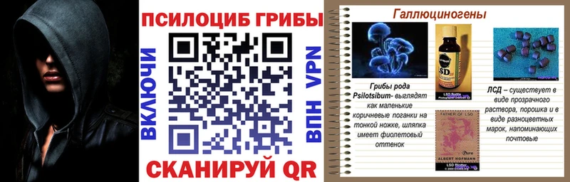 Псилоцибиновые грибы Cubensis  купить закладку  Черняховск 