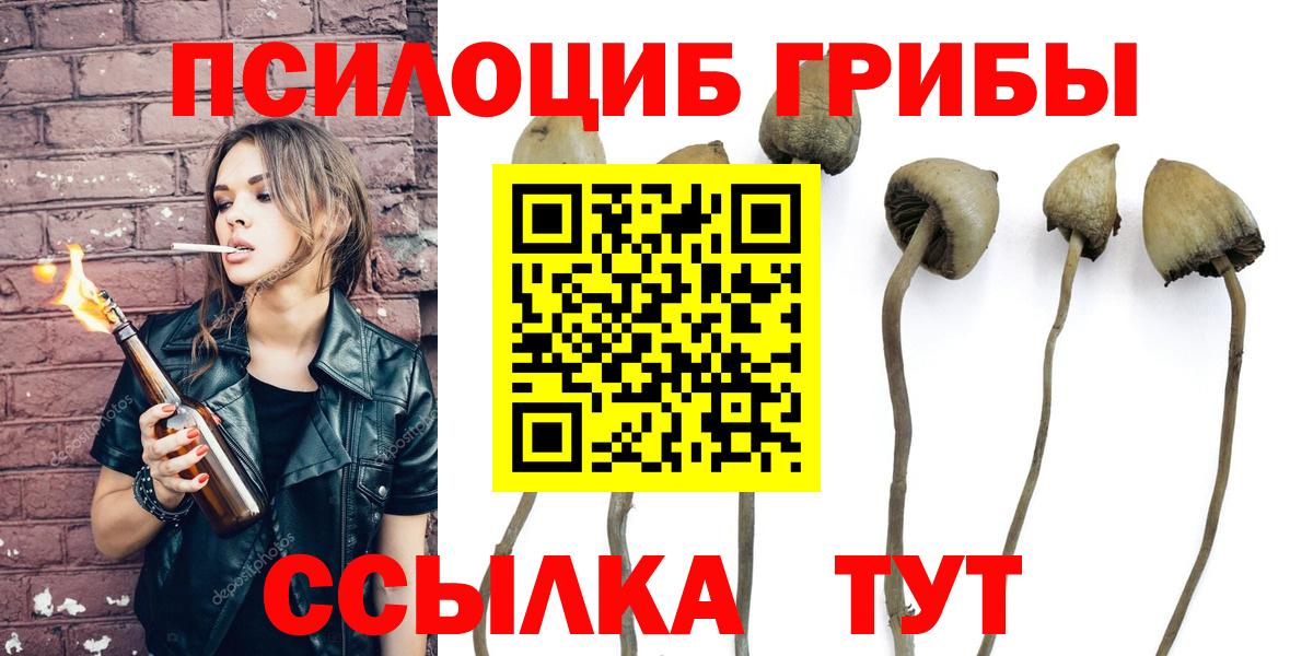 Псилоцибиновые грибы GOLDEN TEACHER Черняховск