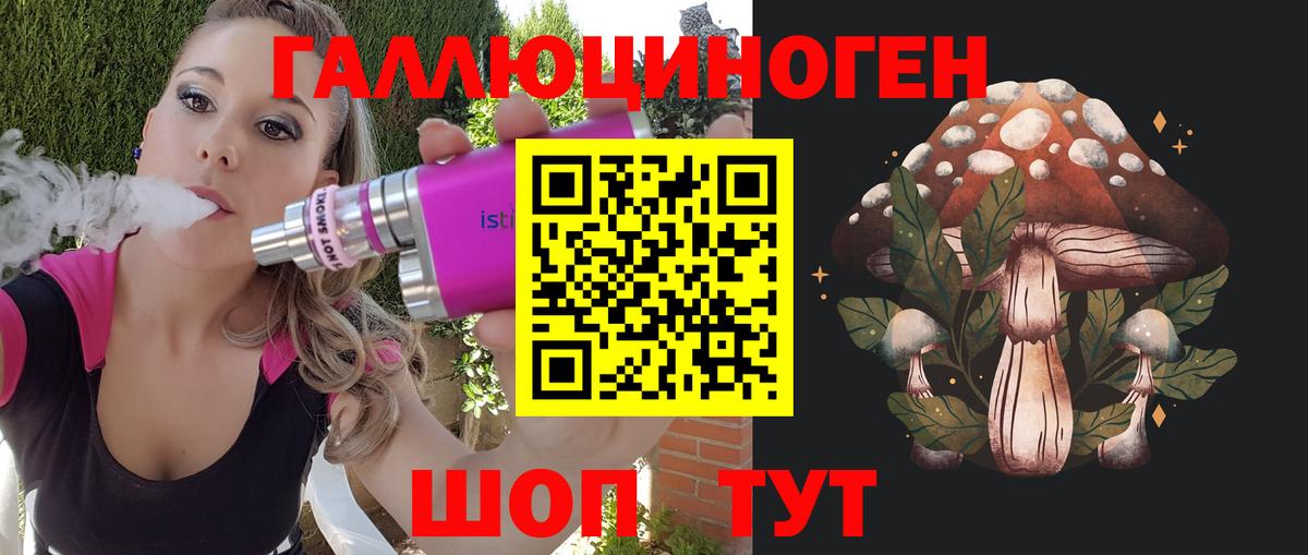 Черняховск  Галлюциногенные грибы прущие грибы  Вход с VPN  Галлюциногенные грибы Psilocybine cubensis 